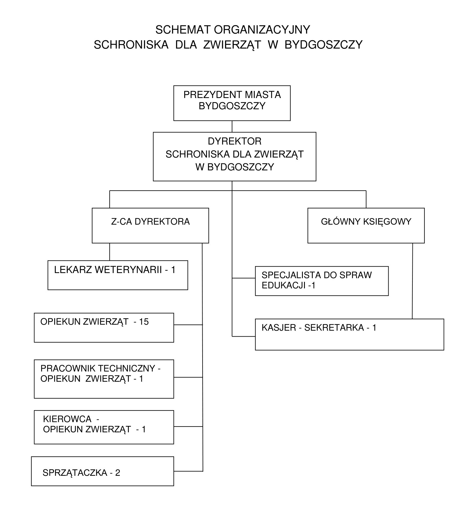 Schemat struktury organizacji